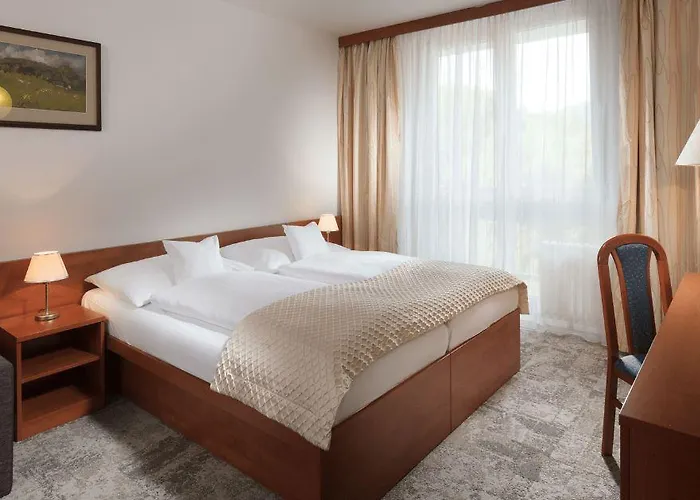 Pinia & Готель