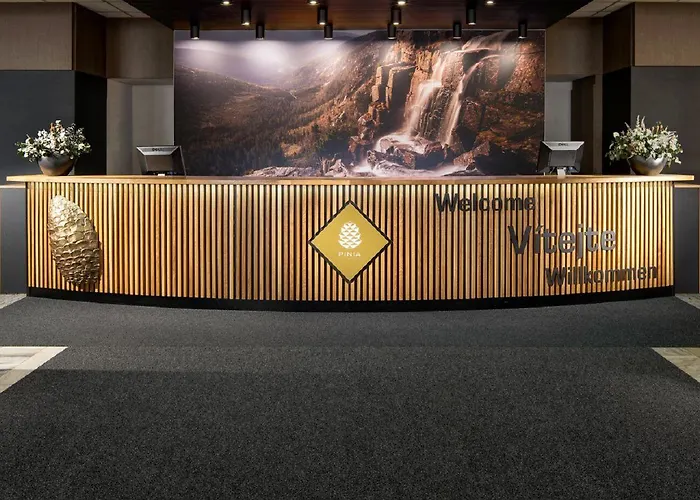 Pinia & Готель 4*